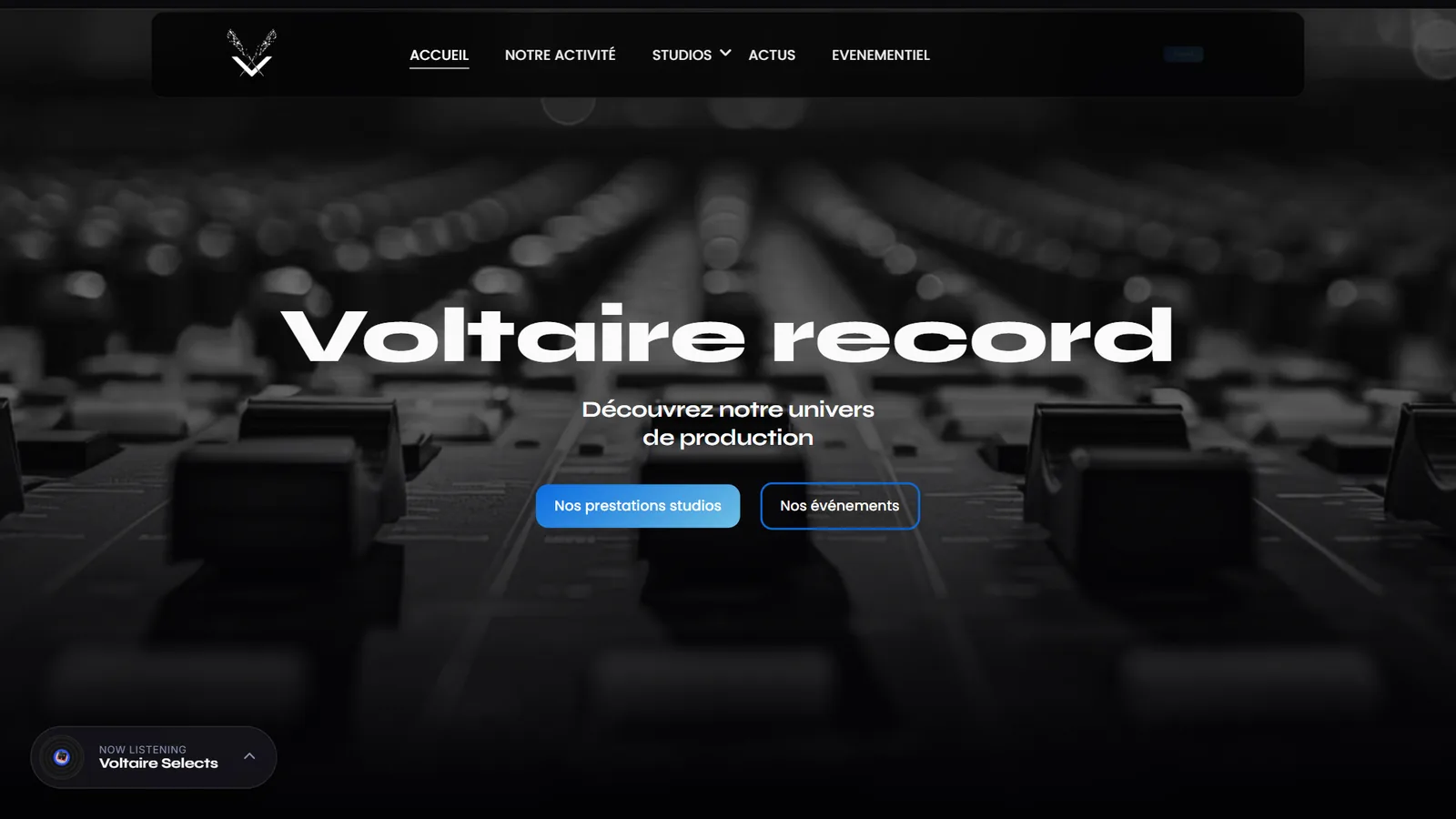 Voltaire Record : aperçu du site